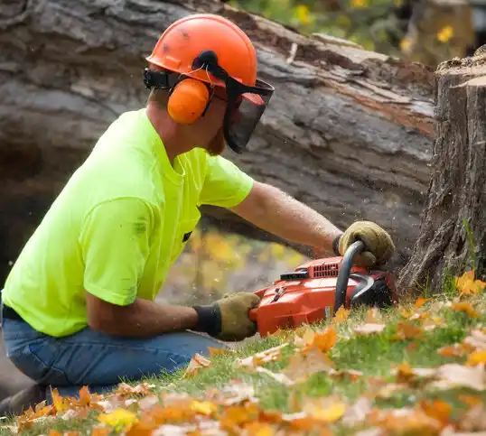 tree services Keytesville